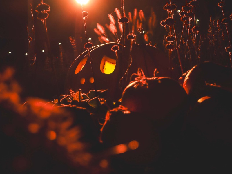 Slagharen presenteert ‘Ultimate Nightmare Pass’