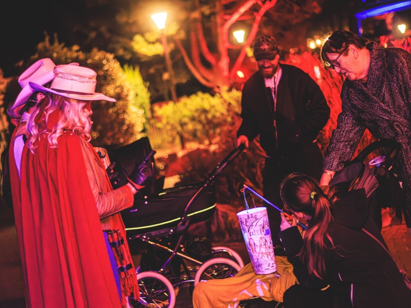 Sint-Maarten in Slagharen groot succes