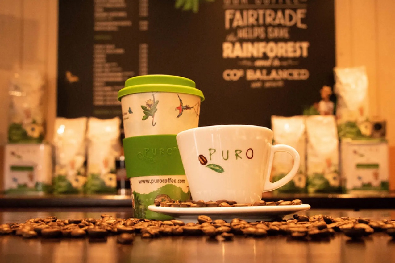 Aufrichtigkeit führt zu reinen Entscheidungen für Slagharen im Jahr 2020