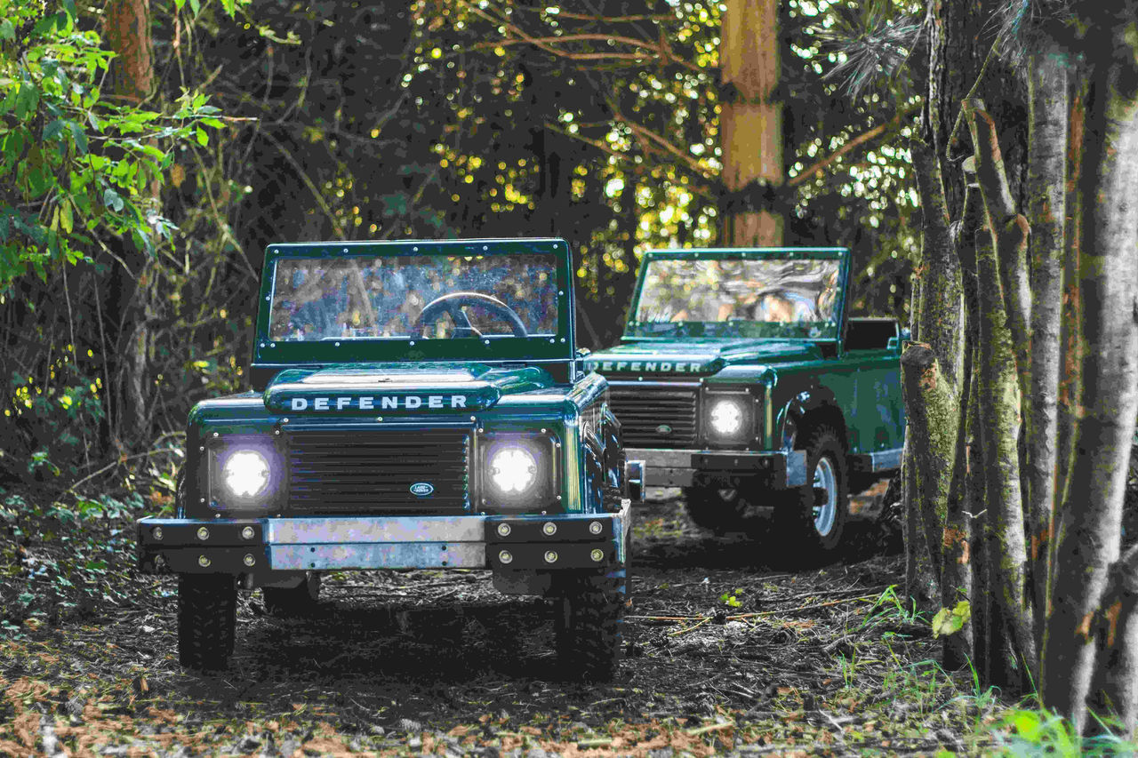 wild west safari