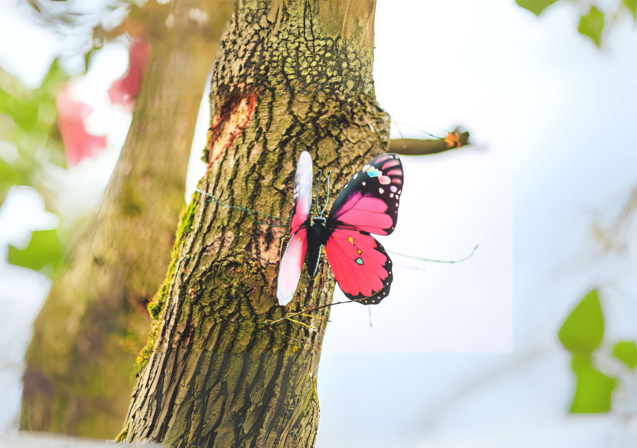 vlinder in boom