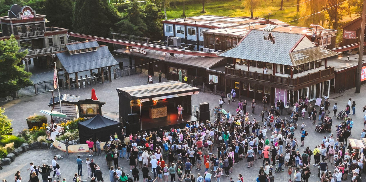 Artiesten Summer Nights